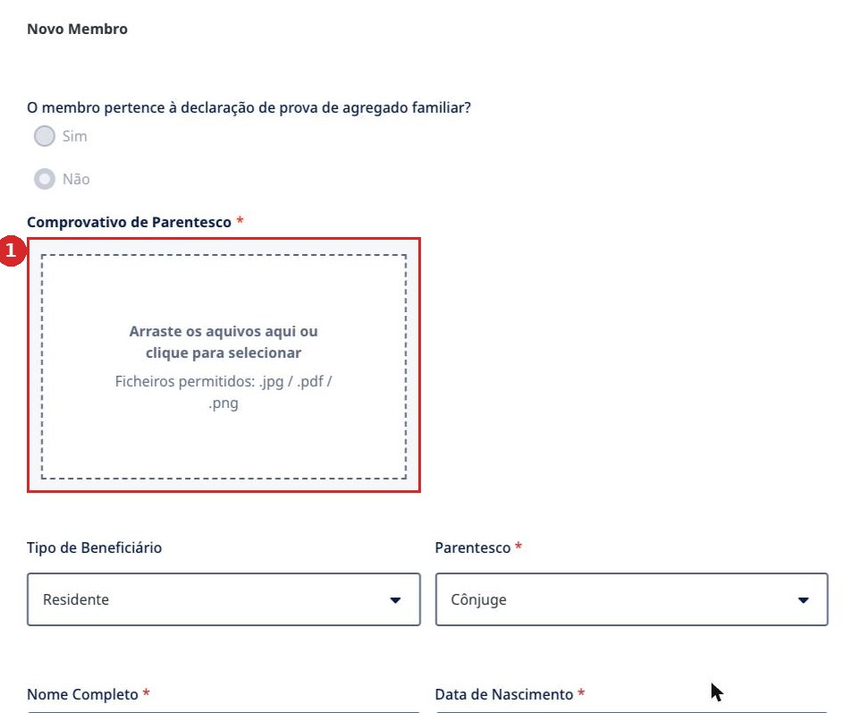 Comprovativo de Parentesco ist Pflicht — ein Feld mit Sternchen.